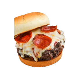 Plain Pizza Burger 